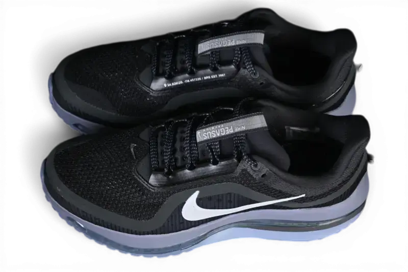 Nike Pegasus Premium Anthracite