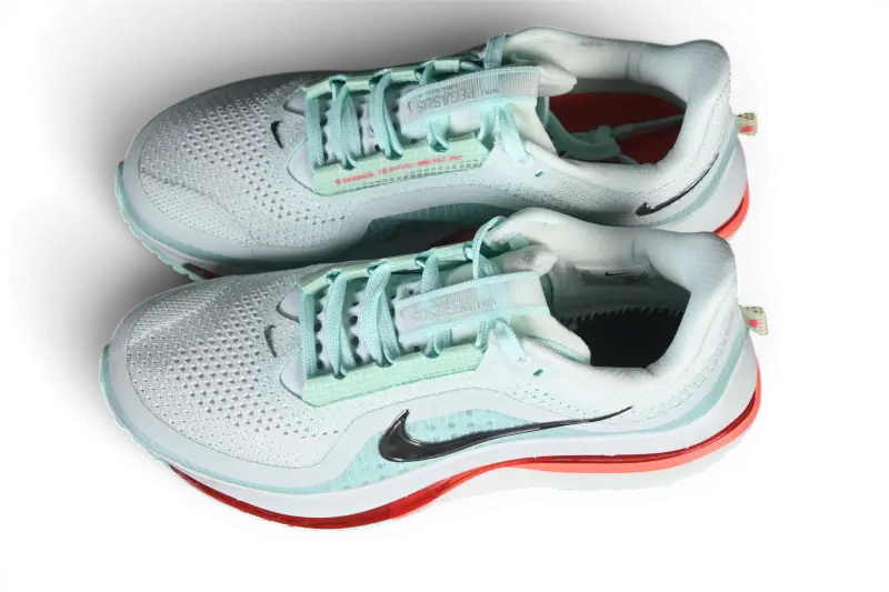 Nike Pegasus Premium Barely Green