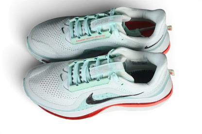 Nike Pegasus Premium Barely Green