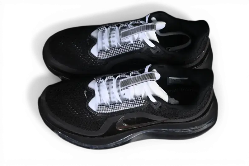 Nike Pegasus Premium SP Black White Silver