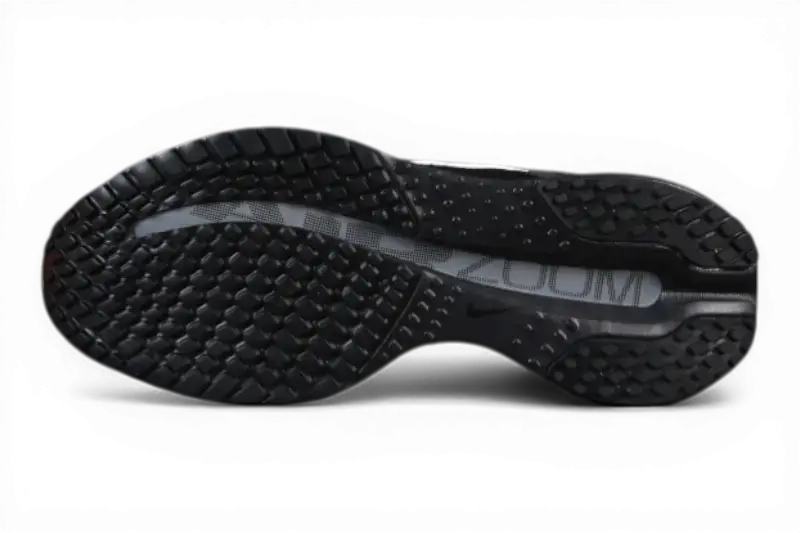 Nike Pegasus Premium SP Black White Silver