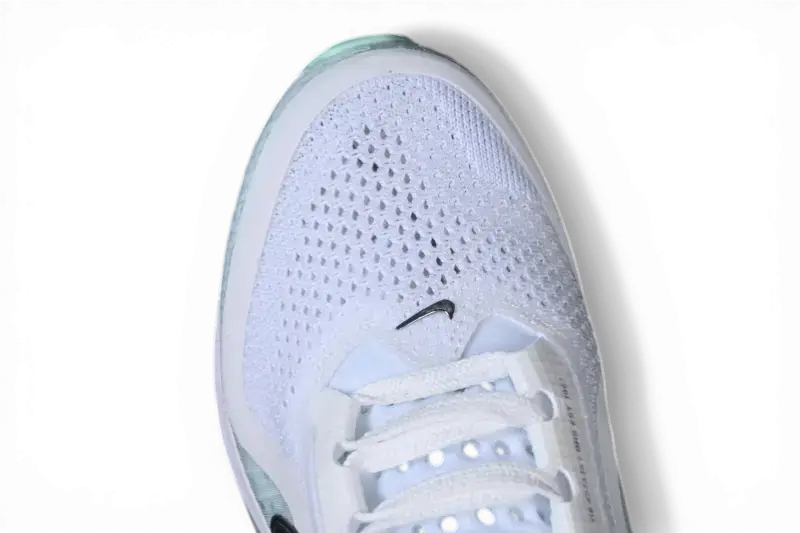 Nike Pegasus Premium White Mint Foam